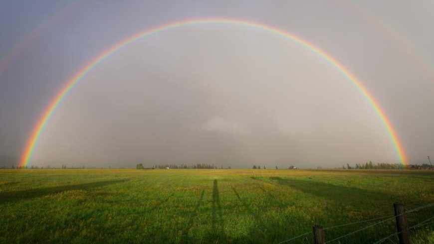 Eat a Rainbow!