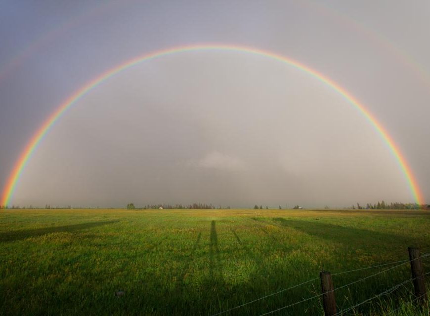 Eat a Rainbow!