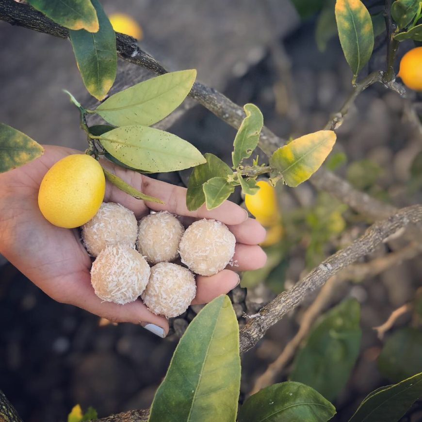 Lemon Cheesecake Protein Balls