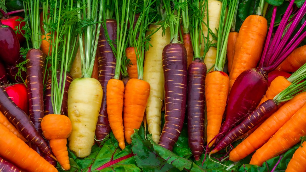 Do Carrots Help You See in The Dark – Vitamin A