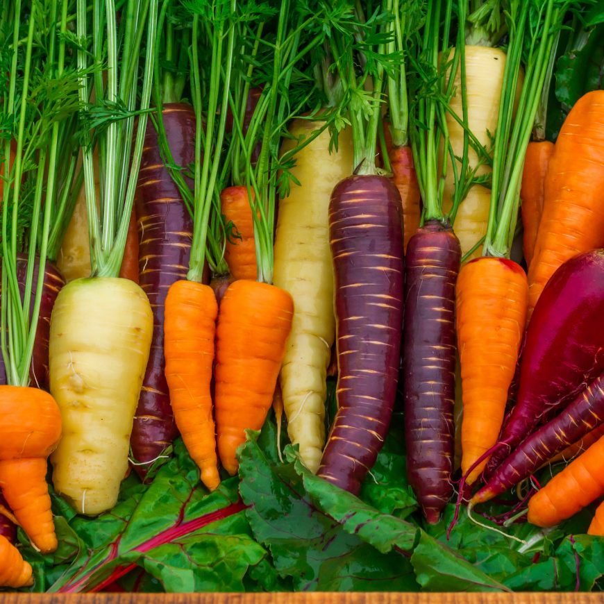 Do Carrots Help You See in The Dark – Vitamin A